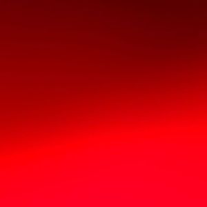 Meet your Posher, Shanta